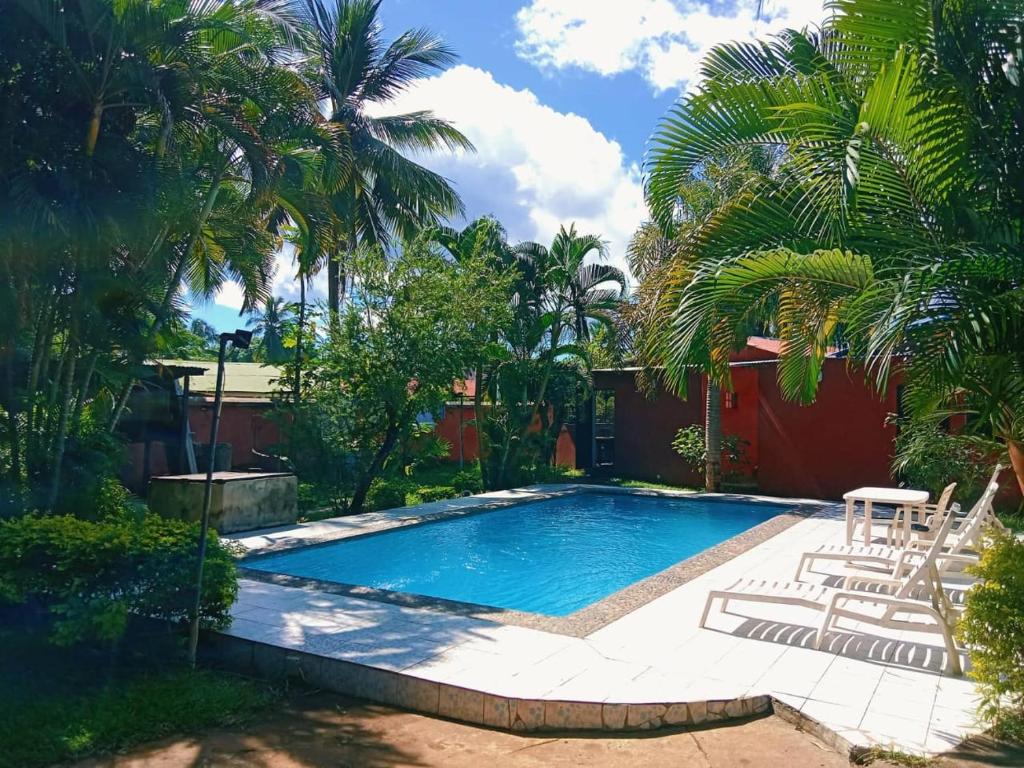 贝岛Bungalow chez Mouch Nosy-Be 4的棕榈树庭院内的游泳池
