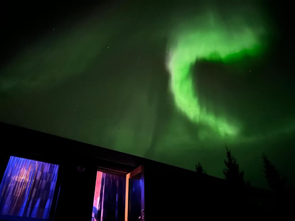 海拉Arhus Cottage and Camping的天空中北极光的图像