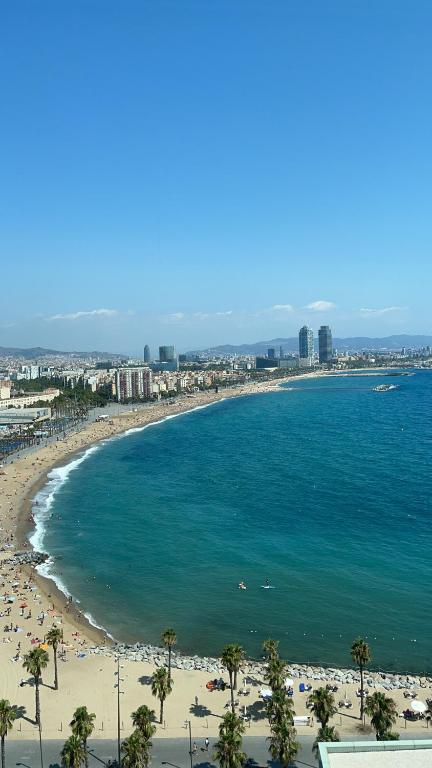 巴塞罗那Apartamento en Barceloneta playa的享有海滩和大海的景色