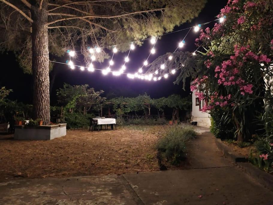 尼科洛西Tenuta SGB - Il profumo del vino Etna Nicolosi的夜晚在花园上悬挂的一串灯