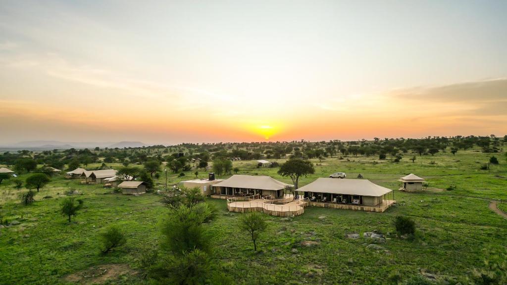 塞伦盖蒂国家公园Serengeti Malaika Luxury Camp的一群在田野上欣赏日落的小屋