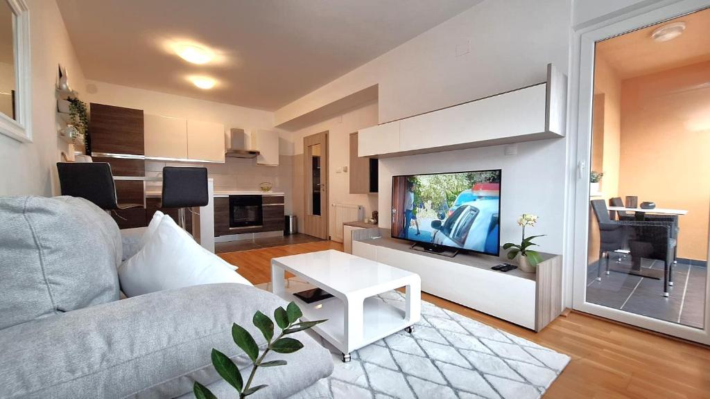 奥西耶克Apartman Lucille的带沙发和平面电视的客厅