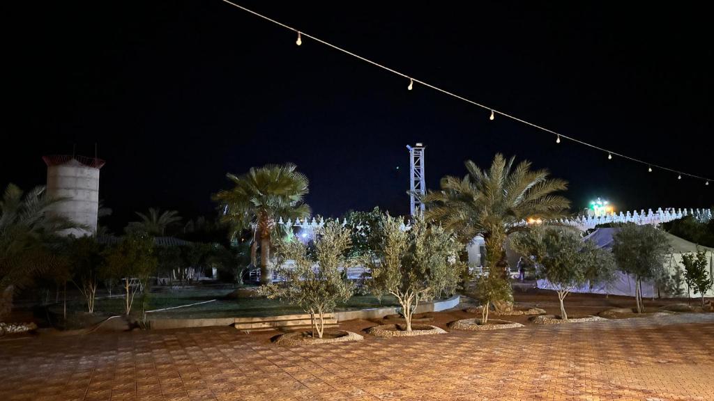 Al LaqīţahThenoblejewel的公园里棕榈树和灯光照亮,晚上