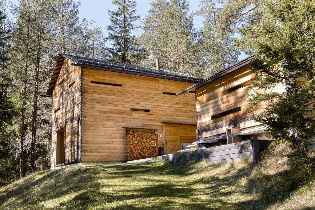 圣维吉利奥Mountain Lodge Tamersc的树林中的木屋,有院子