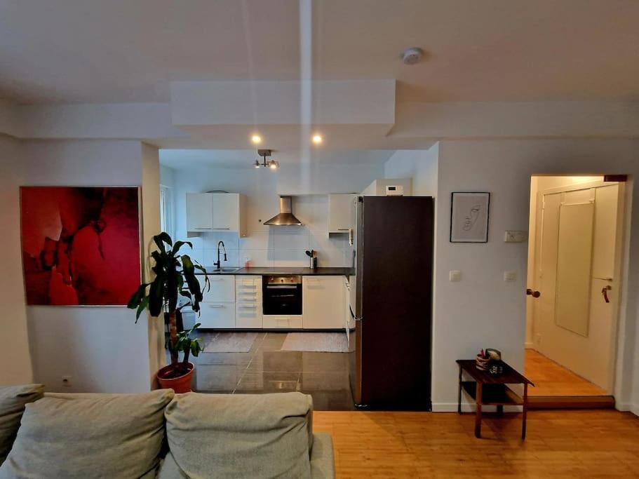 布鲁塞尔Le cocon du midi - Appartement Cosy的带沙发的客厅和厨房