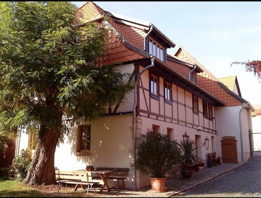 SchadelebenPension Robinienhof的带有野餐桌和树的房子