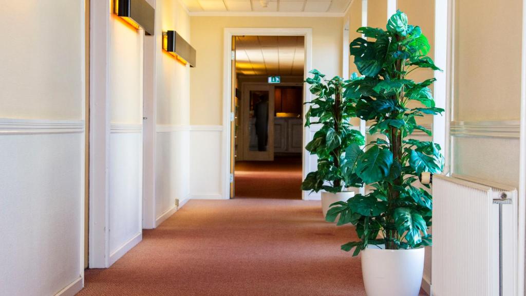 海泽胡瑟讷A Hotels Roskilde的走廊上种植植物的走廊