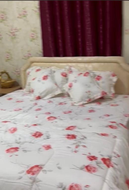 海塞卜استراحة زمردة的一张红色鲜花的床