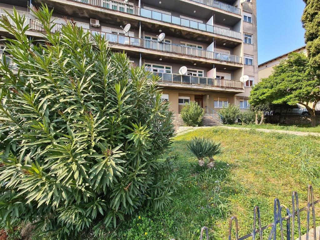 普拉Ferienwohnung für 4 Personen ca 64 qm in Pula, Istrien Istrische Riviera - b61675的一座大建筑前的灌木丛