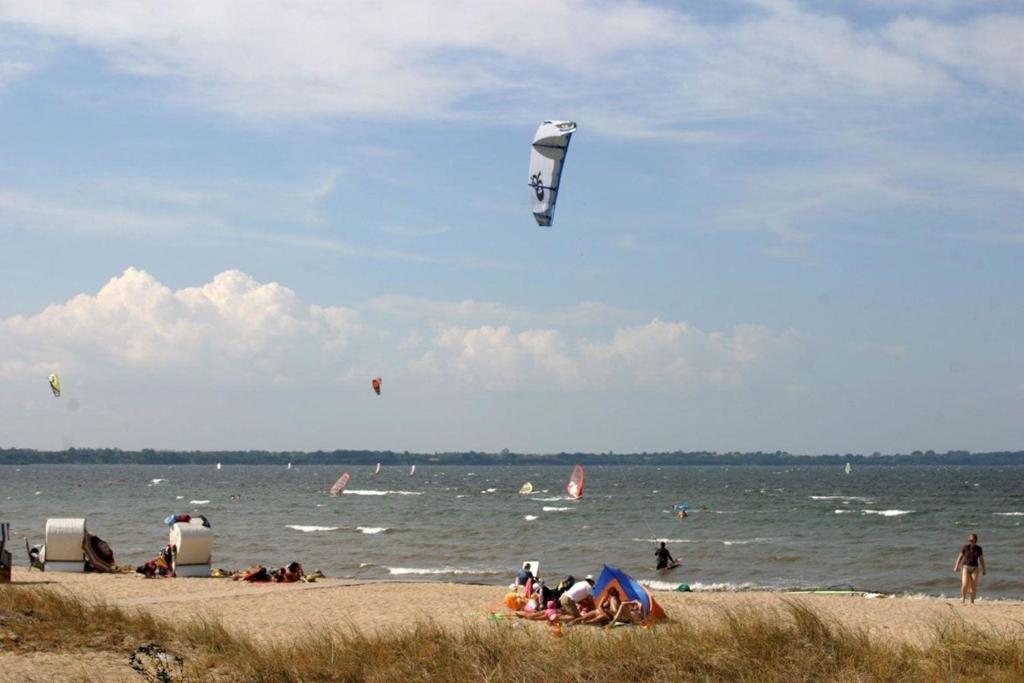赫亨基尔兴Fewo Inselblick am Ostseestrand的一群在海滩上飞风筝的人