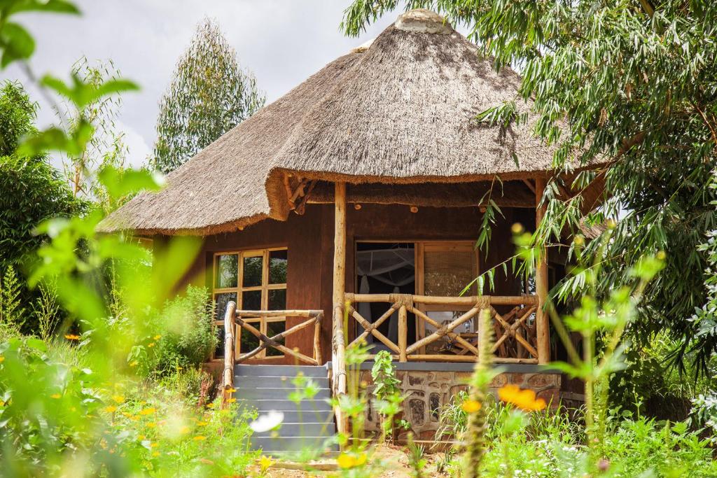 RwinkwavuRutete Eco Lodge的茅草屋顶的小小屋