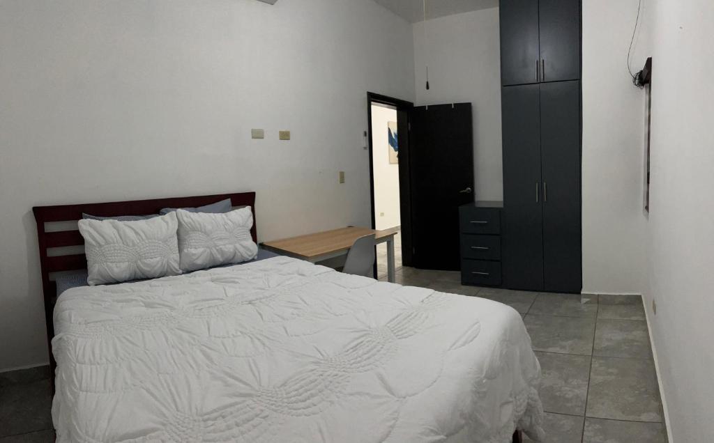 彼德拉斯内格拉斯Departamento moderno cómodo y céntrico的一间卧室配有一张床和一个黑色橱柜
