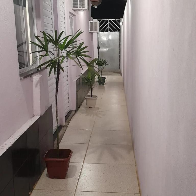 伊塔帕里卡Pousada Estelita的建筑一侧的走廊上,有两株盆栽植物