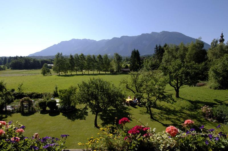 巴特莱辛哈尔Ferienwohnungen im Alpengästehaus Marzoll - Bad Reichenhall的绿地大,种有树木和花卉