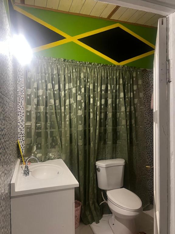 BoscobelHellshire Heights的浴室设有卫生间和绿色淋浴帘。
