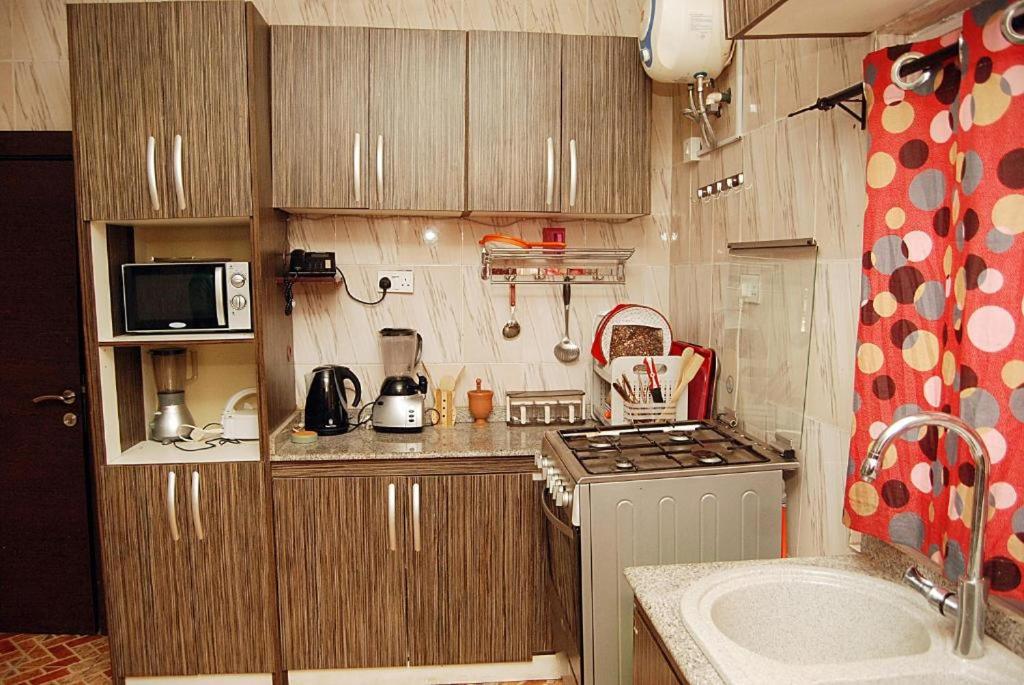 阿布贾HP Pavilion的小厨房配有炉灶和水槽