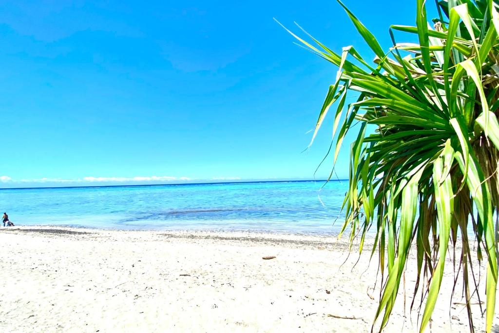 PaeaGAIA Lodge seaside的白色沙滩上的棕榈树