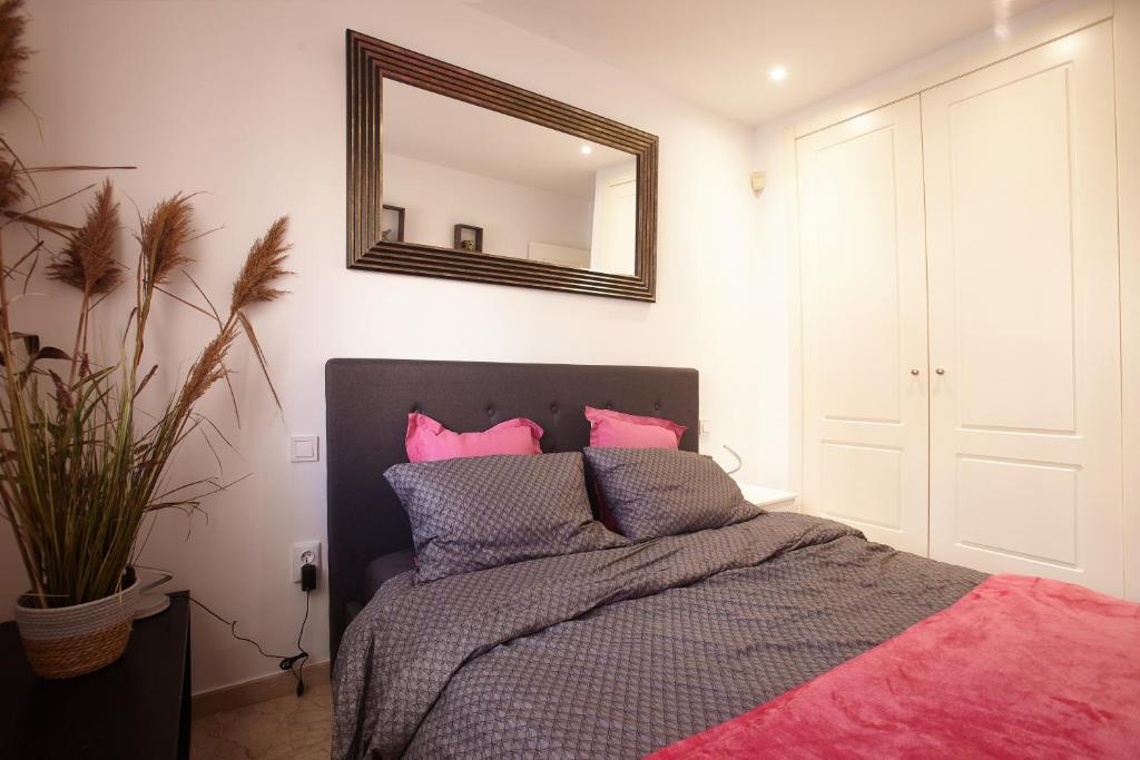 洛斯阿尔卡萨雷斯Casa Allegra的一间卧室配有一张带粉红色枕头和镜子的床