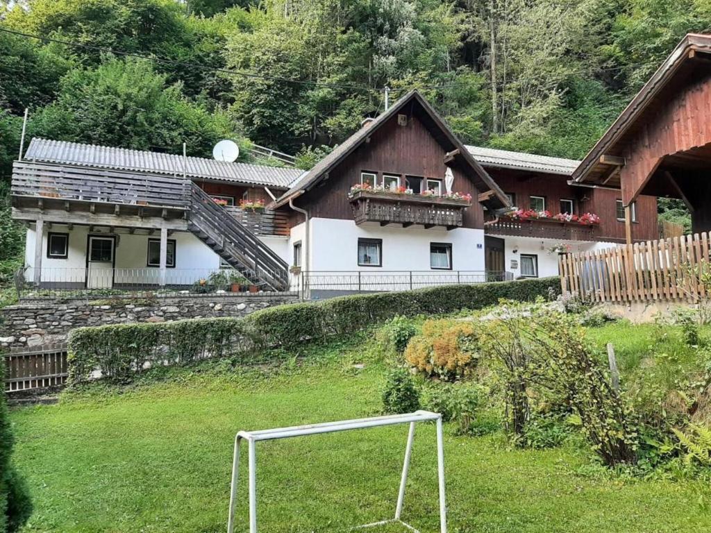 滨湖费尔德Holiday apartment in Feld am See in Carinthia的草上放足球的房屋