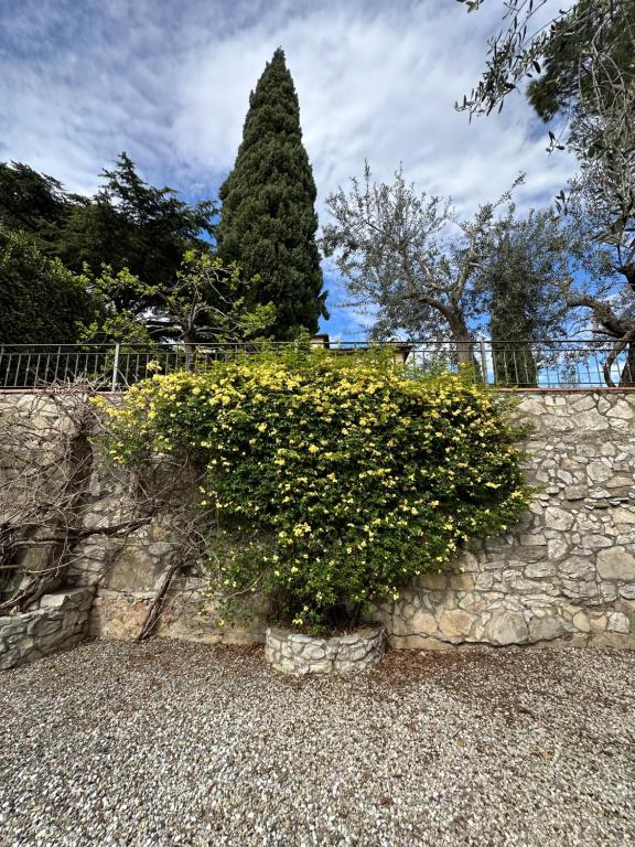 卡莱扎诺Monastero del 600 vista Firenze的石墙前的灌木丛,花朵