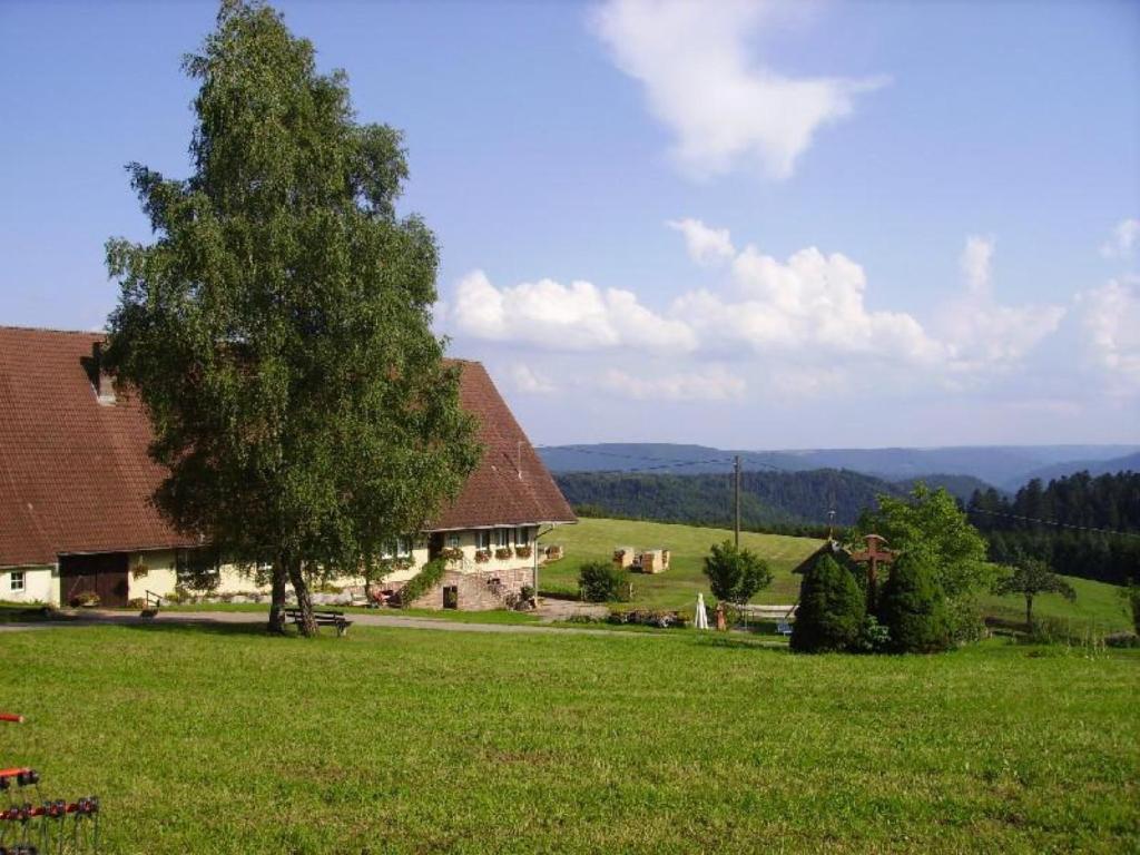 沃尔法赫Äckerhof的田间中有一棵树的房子