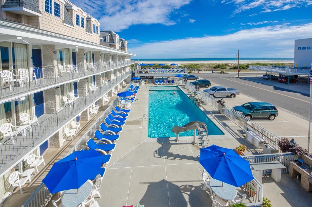 威尔伍德克拉斯特百合花海滩汽车旅馆的一张带有蓝色遮阳伞的酒店游泳池的图片