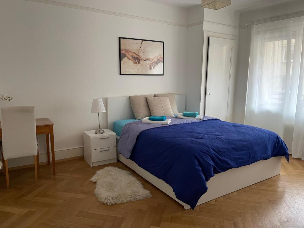 洛桑Jolie chambre au centre ville的一间卧室配有一张带蓝色毯子的大床