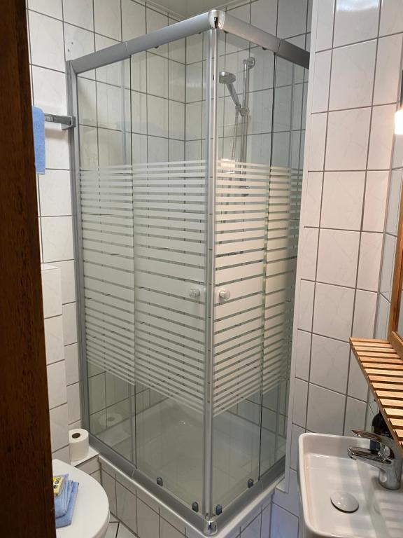 布吕根Hotel zum Schiffchen的一个带水槽的玻璃淋浴间