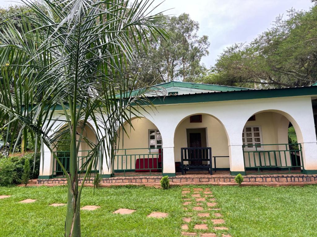 MuhaziMuhazi View Resort的院子里有棕榈树的房子
