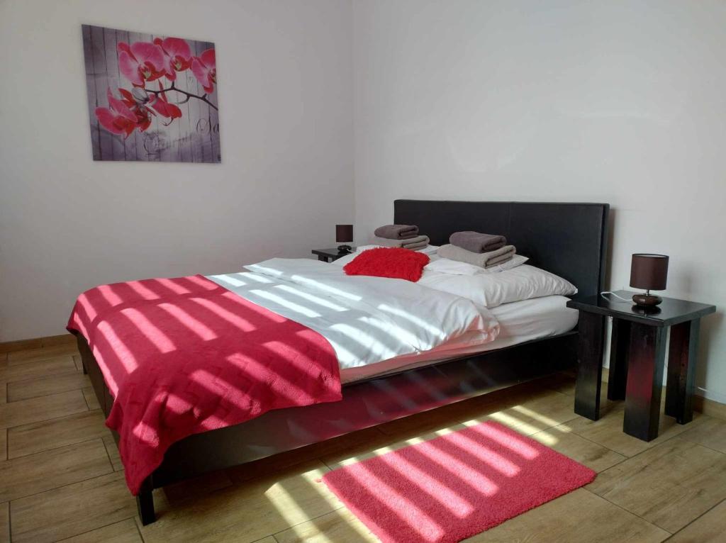 比亚韦斯托克Apartament Gospodarska的一间卧室配有一张床铺,床上铺有红色毯子
