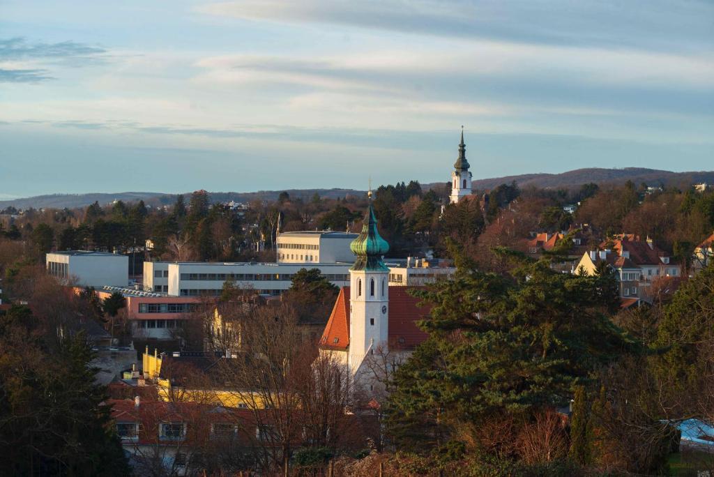 维也纳Herrlicher Ausblick über Wien的一座城市,一座教堂,屋顶绿化