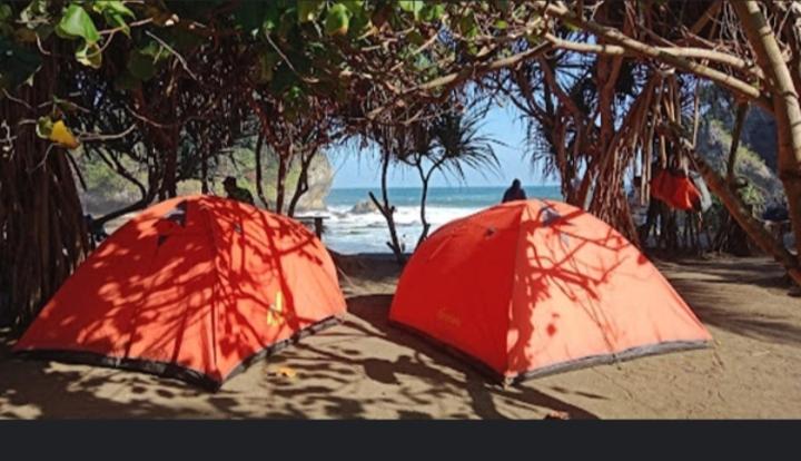 BulakbendaMadasari Outdoor Camping Tenda Paket Komplit的两顶红色帐篷,位于海边
