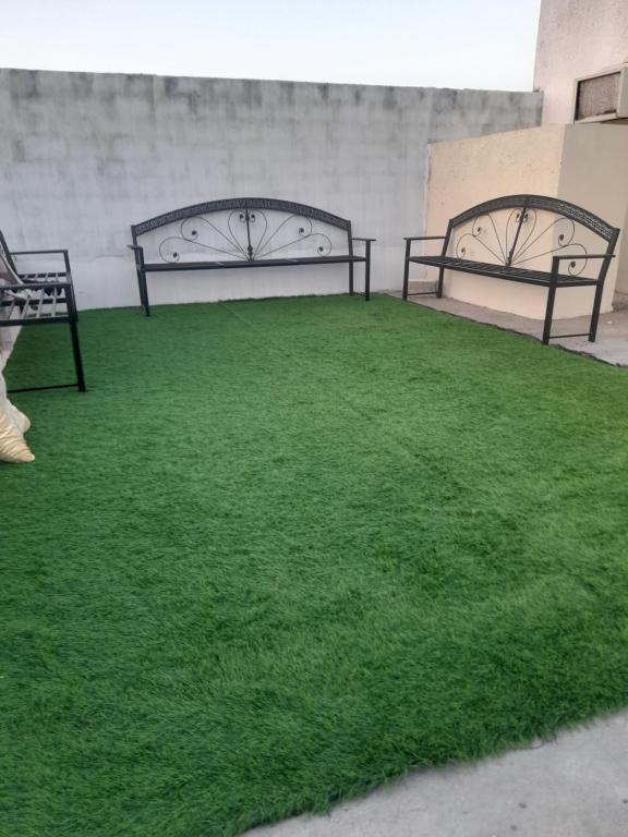 Al Bulaydahبيت للإيجار اليومي / House for daily rent的两个长椅,有绿草在屋里
