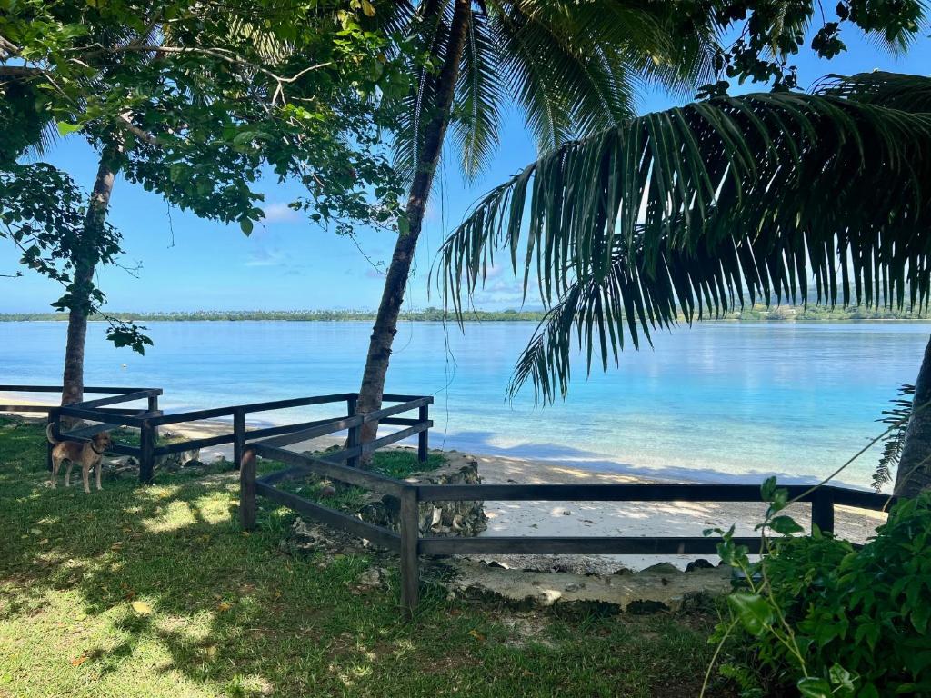 卢甘维尔Lapita Beach Aore Island Vanuatu的海滩上的长凳,享有水景