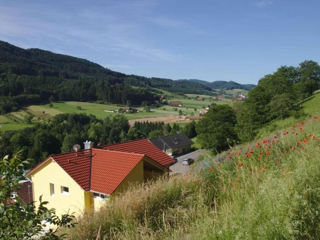 SteinachRebenrain Comfortable holiday residence的山丘上一座带红色屋顶的小房子
