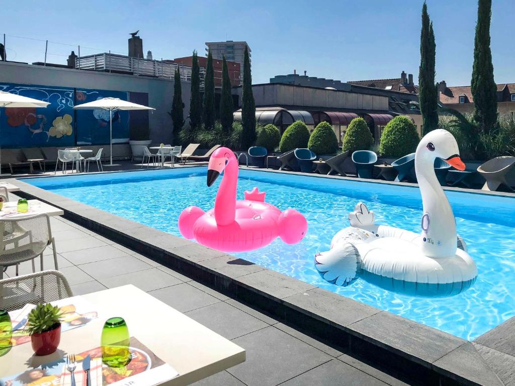 梅斯诺沃特梅兹中央酒店的两个充气天鹅在游泳池里
