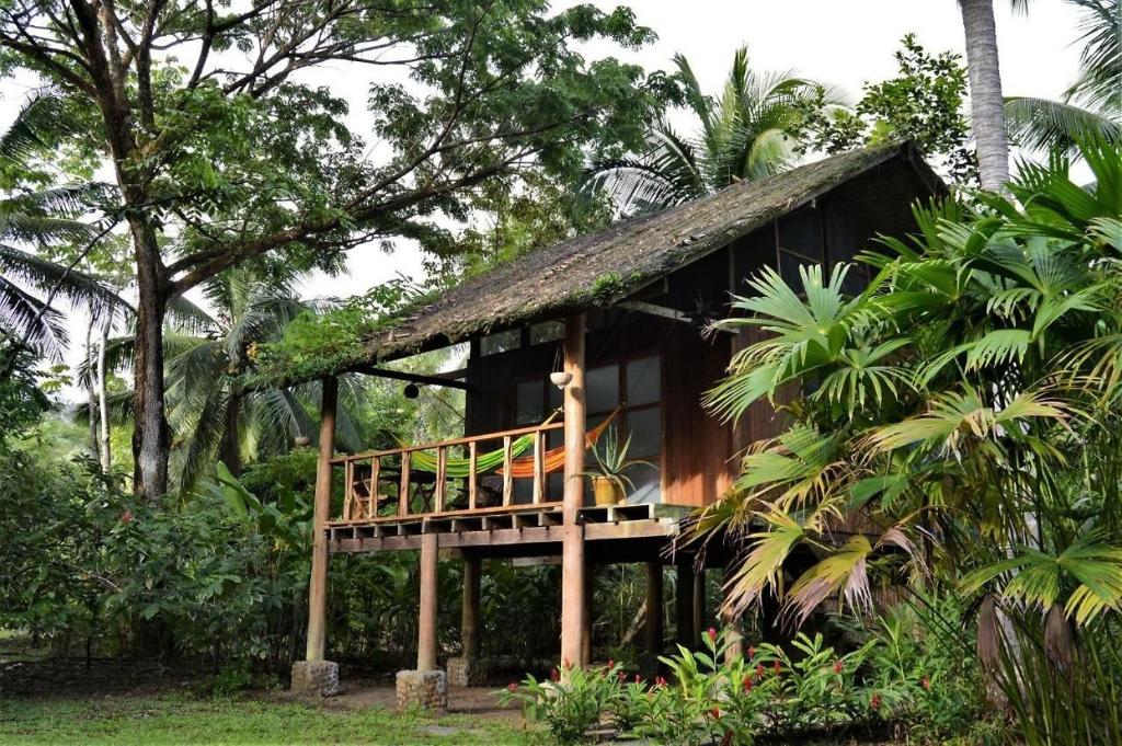 巴亚索拉诺Jardín Botánico del Pacífico y Mecana Ecohotel的茅草屋顶的小房子