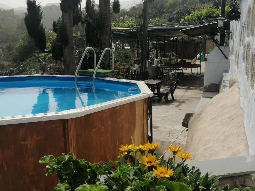 贝加德圣马特奥La Morisca的花卉花园中的游泳池