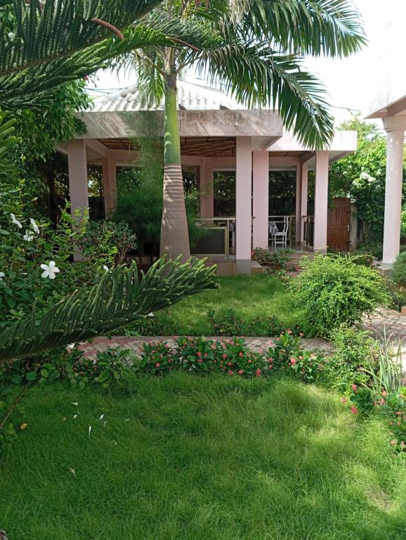 科托努Villa DADO PLAGE的院子里有棕榈树的房子