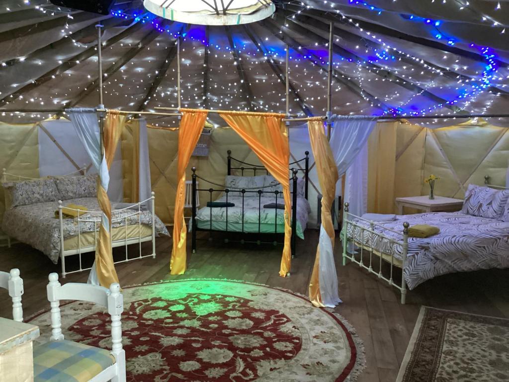 鲁特姆Vigo Retreat Yurt的客房设有两张床和带灯的天花板。
