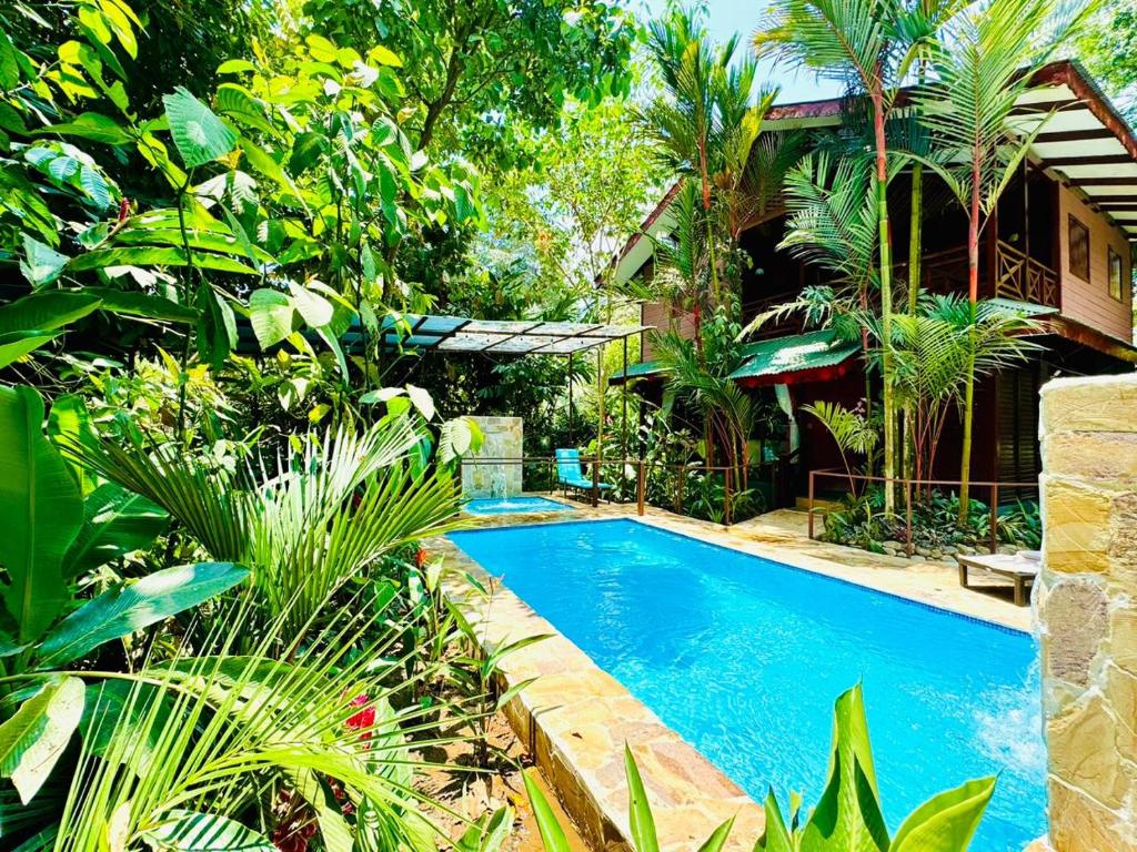 别霍港Casa Elita - Tranquil Escape with Pool, Jacuzzi, AC的花园中的一个游泳池