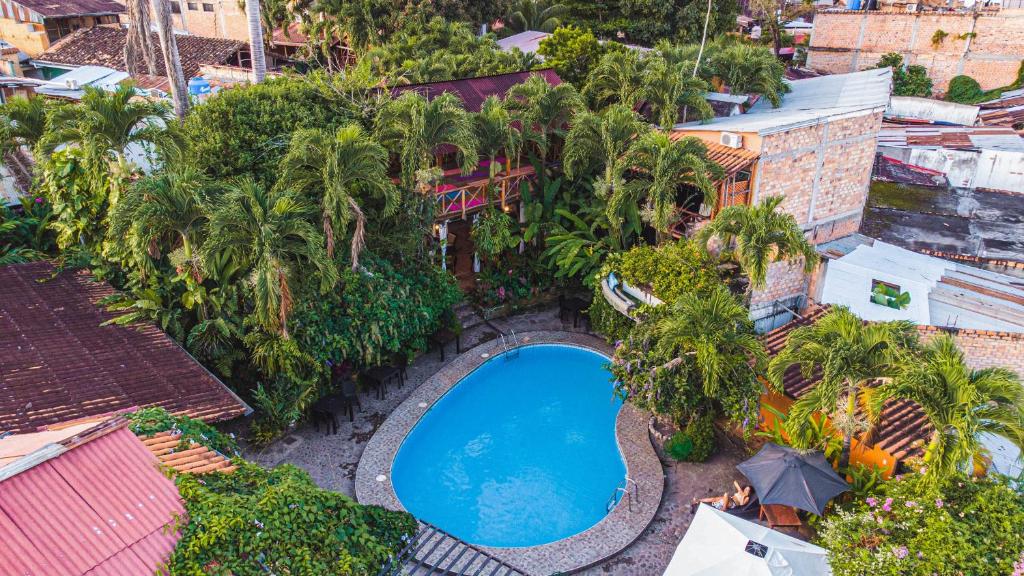 塔拉波托La Patarashca的享有棕榈树游泳池的顶部景致