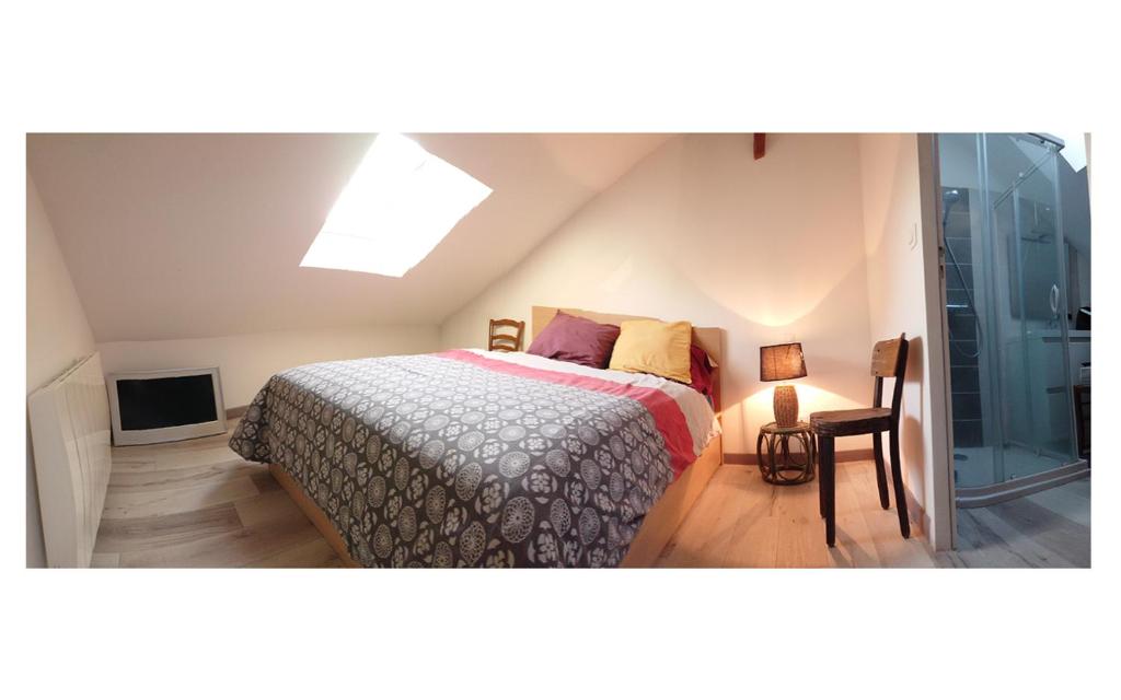 南特Duplex quartier viarme的一间卧室配有一张床和天窗