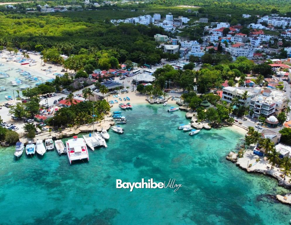 巴亚希贝Bayahibe Village Inn的享有海滩的空中景色,在水中划船