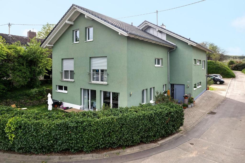 凯萨斯图尔地区萨斯巴赫Ferienwohnung In Der Weinig的一座绿色房子,前面有一个人