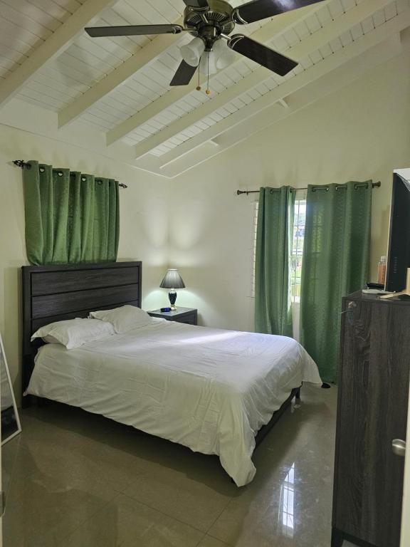 法尔茅斯Stonebrook Villa的一间卧室配有一张带绿色窗帘的床和吊扇