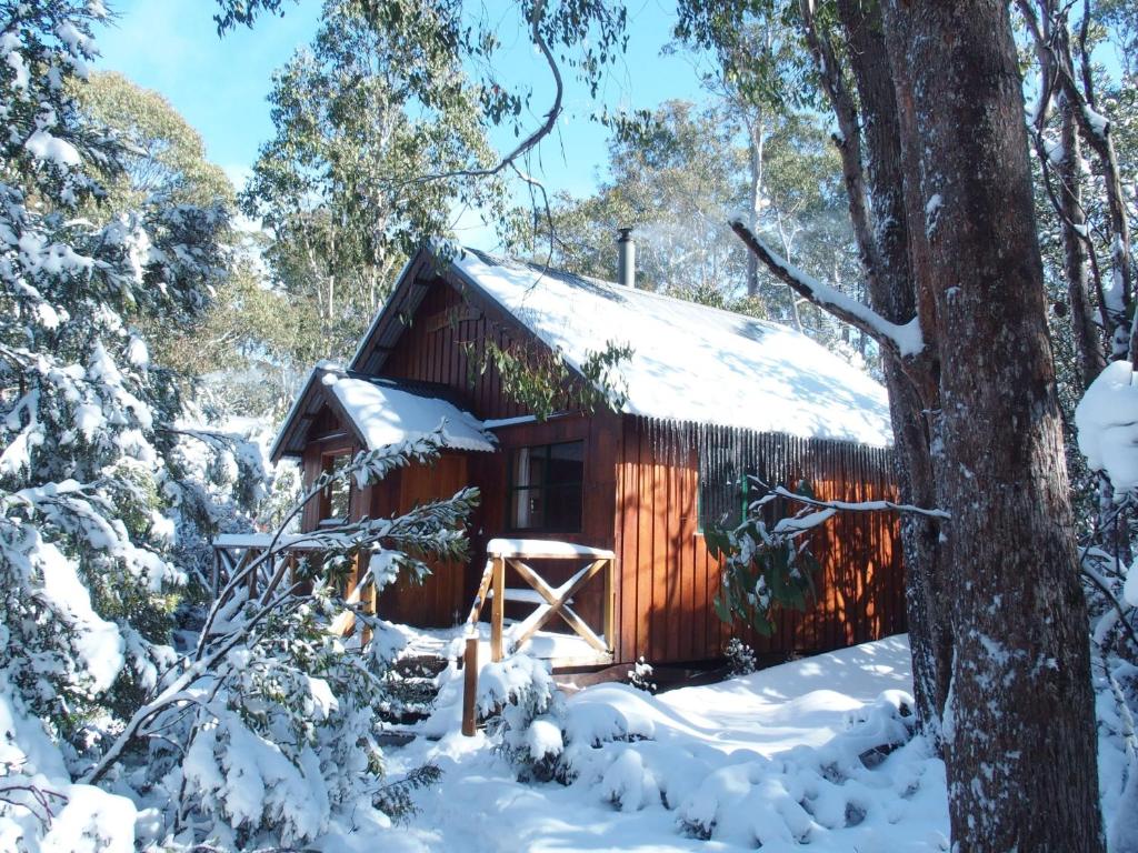 摇篮山Cradle Highlander的雪中树林中的小屋