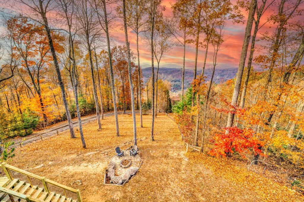 蓝岭The Grandview Lodge的一座带长凳和树木的公园的画