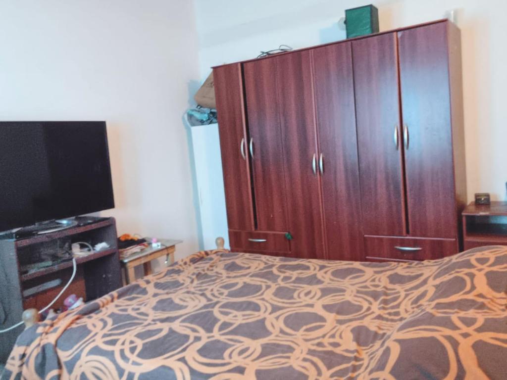 乌斯怀亚El Amanecer的一间卧室配有一张床和一台平面电视