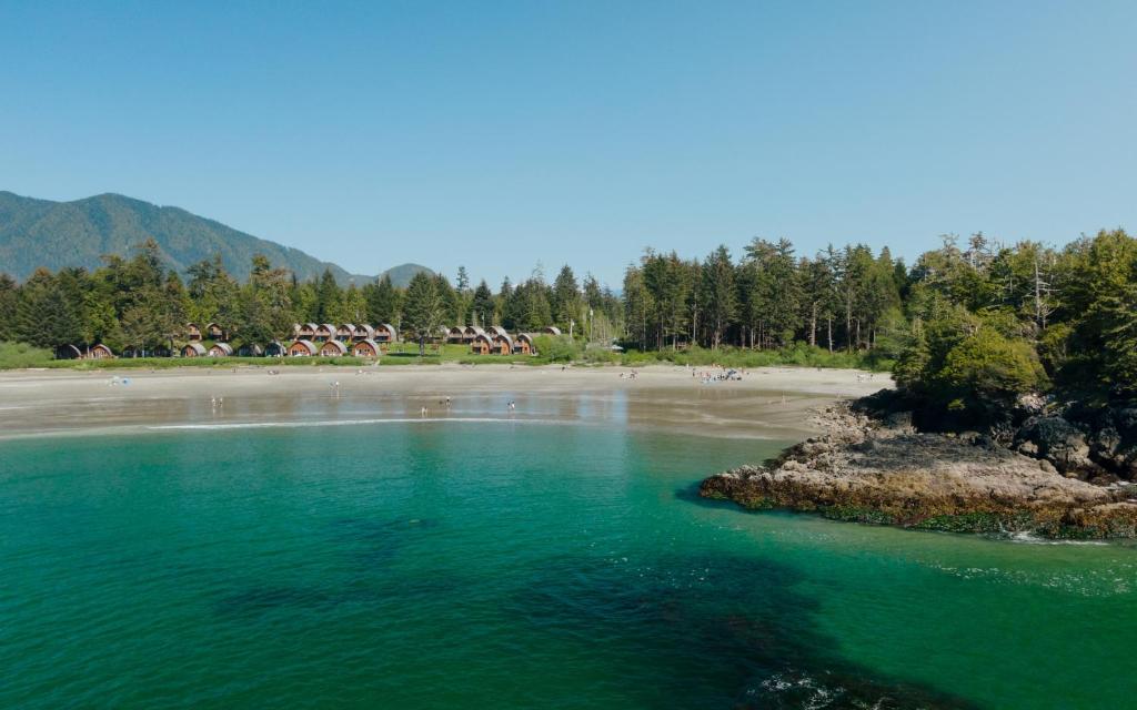 托菲诺Ocean Village Resort的一片带海滩和树木的水域
